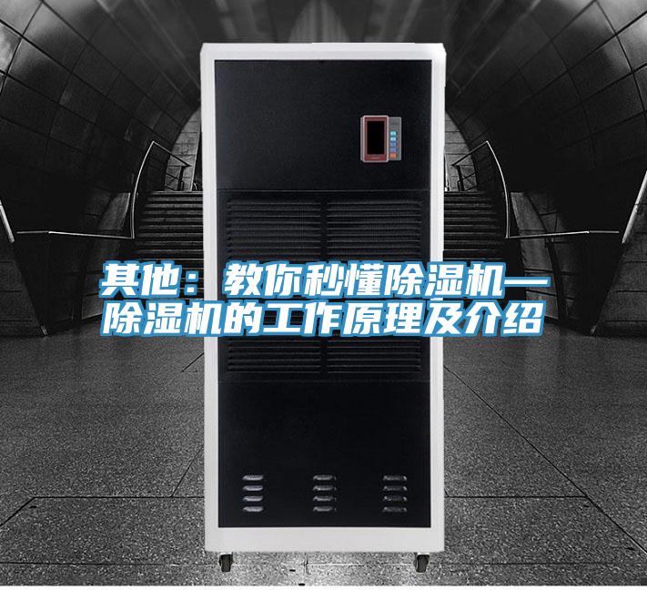 其他：教你秒懂蘑菇视频网站—蘑菇视频网站的工作原理及介紹