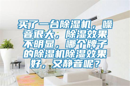 買了一台蘑菇视频网站，噪音很大，除濕效果不明顯，哪個牌子的蘑菇视频网站除濕效果好，又靜音呢？