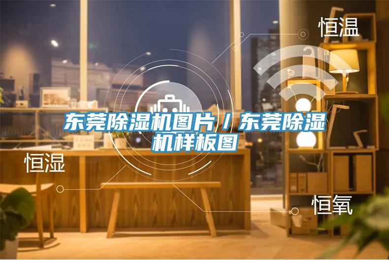 東莞蘑菇视频网站圖片／東莞蘑菇视频网站樣板圖