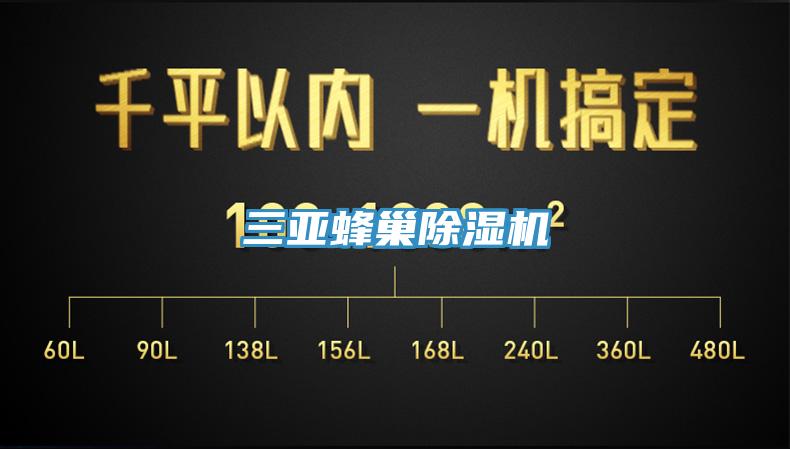 三亞蜂巢蘑菇视频网站