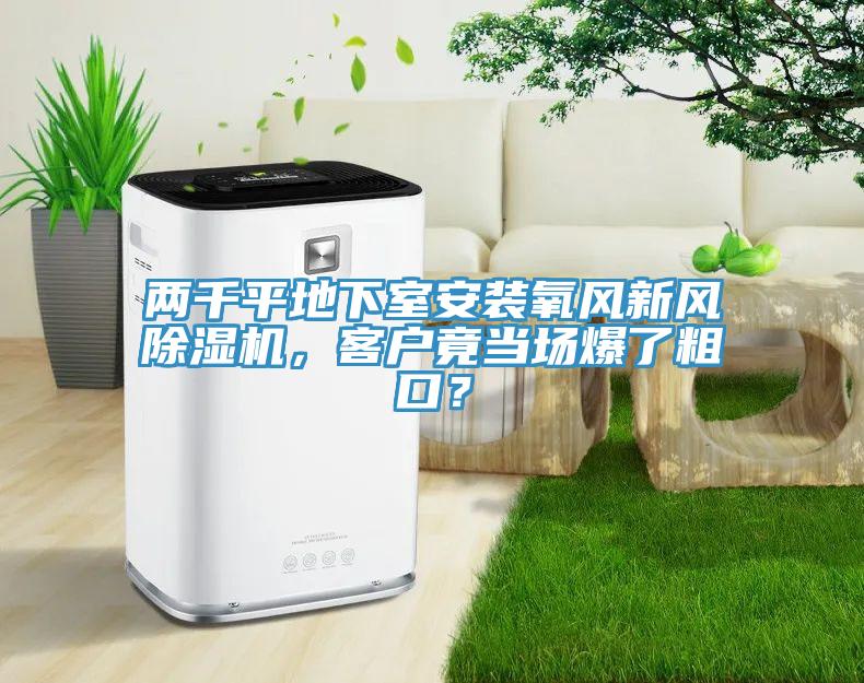 兩千平地下室安裝氧風新風蘑菇视频网站，客戶竟當場爆了粗口？