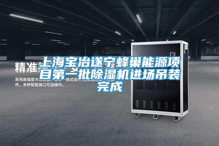 上海寶冶遂寧蜂巢能源項目第一批蘑菇视频网站進場吊裝完成
