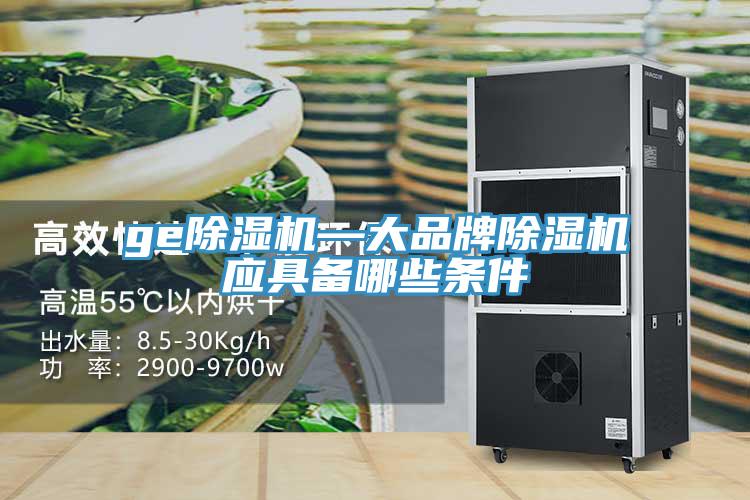 ge蘑菇视频网站—大品牌蘑菇视频网站應具備哪些條件