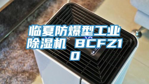 臨夏防爆型工業蘑菇视频网站 BCFZ10
