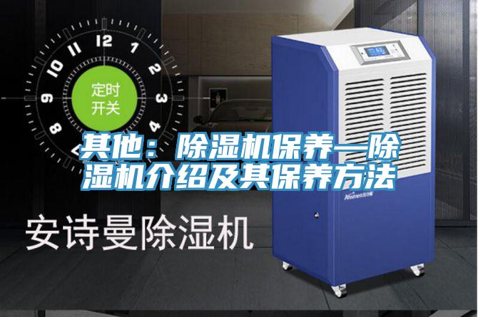 其他：蘑菇视频网站保養—蘑菇视频网站介紹及其保養方法