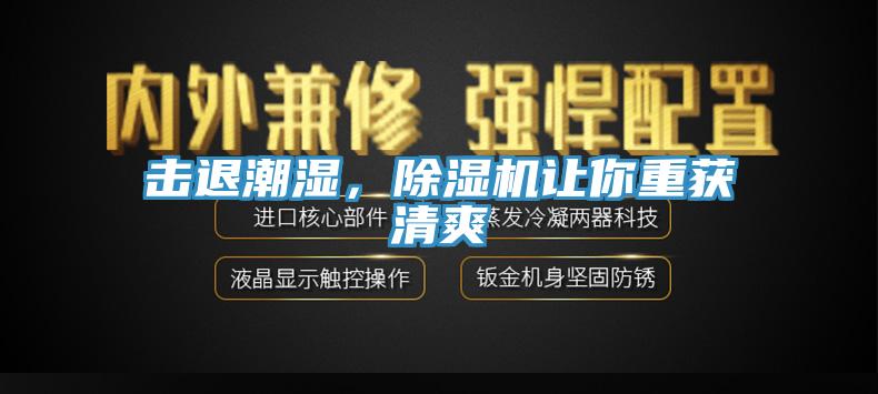 擊退潮濕，蘑菇视频网站讓你重獲清爽