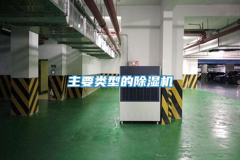 主要類型的蘑菇视频网站