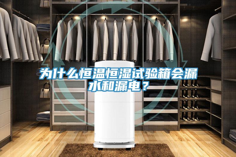 為什麽恒溫恒濕試驗箱會漏水和漏電？