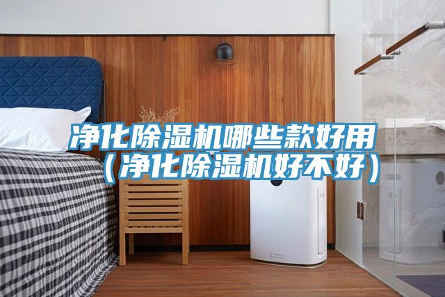 淨化蘑菇视频网站哪些款好用（淨化蘑菇视频网站好不好）
