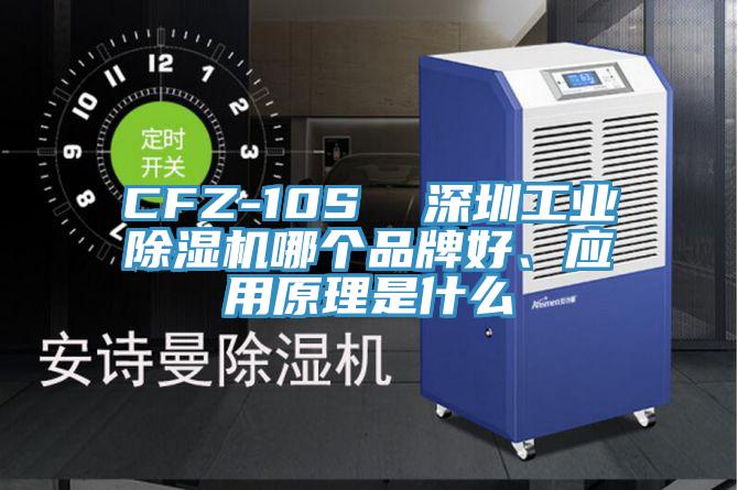 CFZ-10S  深圳工業蘑菇视频网站哪個品牌好、應用原理是什麽