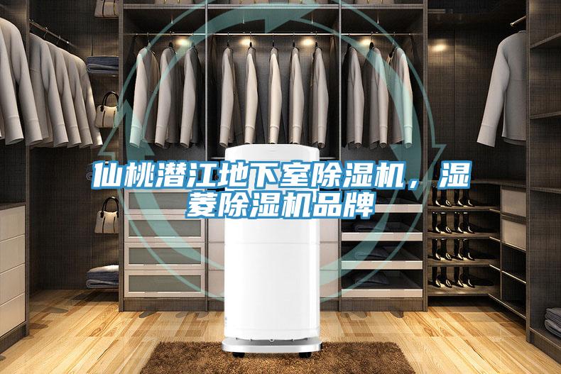 仙桃潛江地下室蘑菇视频网站，濕菱蘑菇视频网站品牌