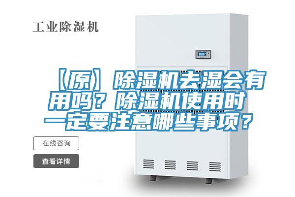 【原】蘑菇视频网站去濕會有用嗎？蘑菇视频网站使用時一定要注意哪些事項？