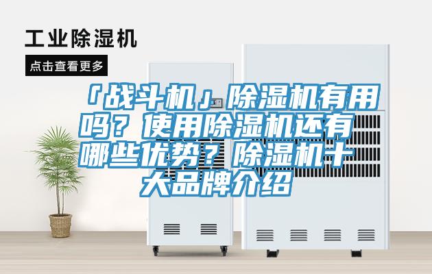 「戰鬥機」蘑菇视频网站有用嗎？使用蘑菇视频网站還有哪些優勢？蘑菇视频网站十大品牌介紹
