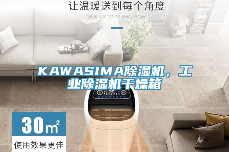 KAWASIMA蘑菇视频网站，工業蘑菇视频网站幹燥箱
