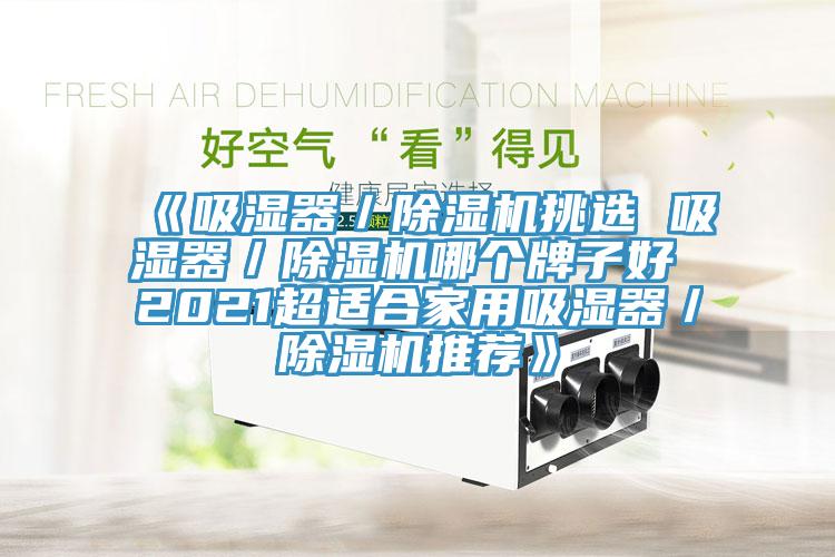 《吸濕器／蘑菇视频网站挑選 吸濕器／蘑菇视频网站哪個牌子好 2021超適合家用吸濕器／蘑菇视频网站推薦》