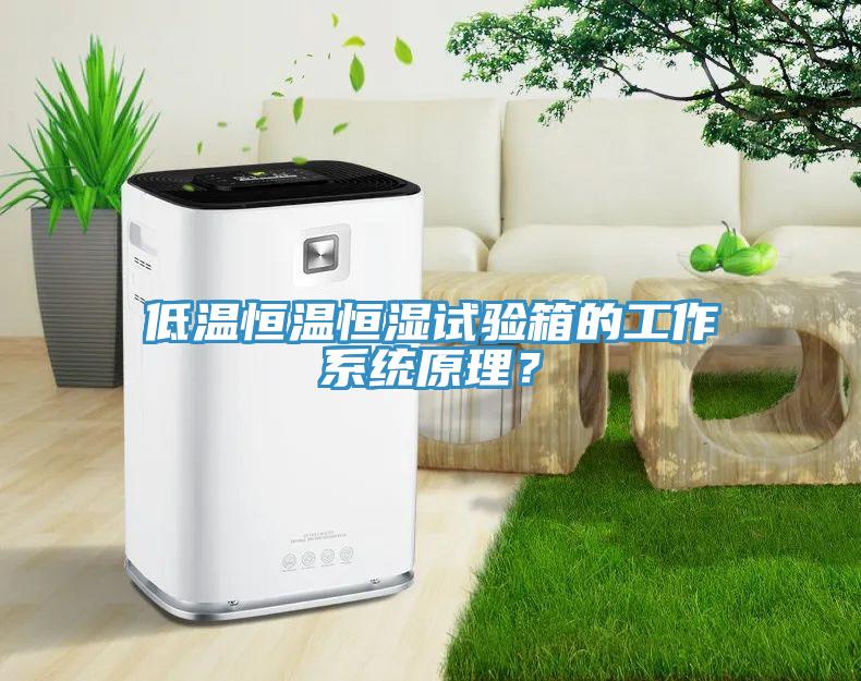 低溫恒溫恒濕試驗箱的工作係統原理？