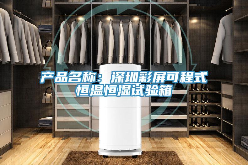 產品名稱：深圳彩屏可程式恒溫恒濕試驗箱