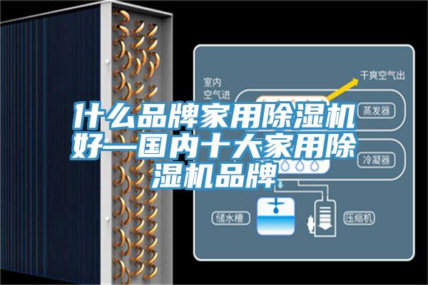 什麽品牌家用蘑菇视频网站好—國內十大家用蘑菇视频网站品牌