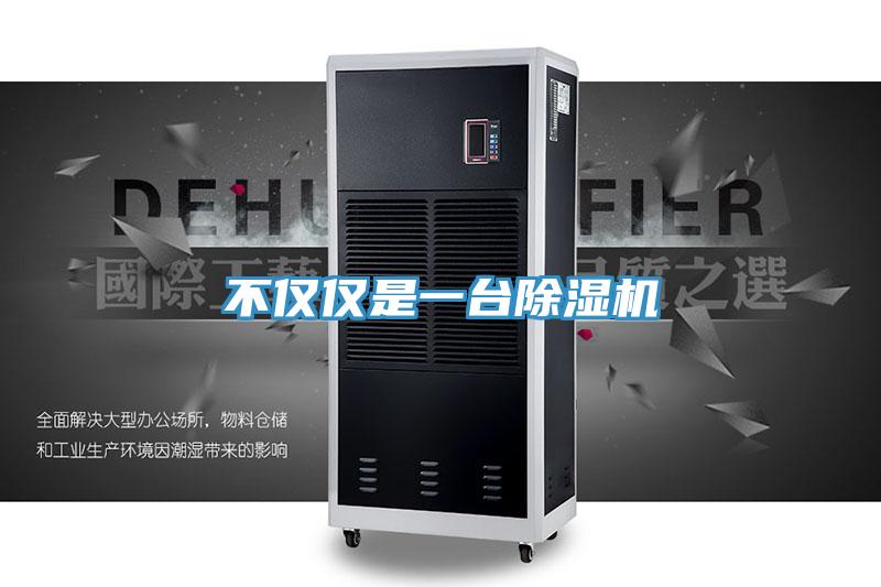 不僅僅是一台蘑菇视频网站