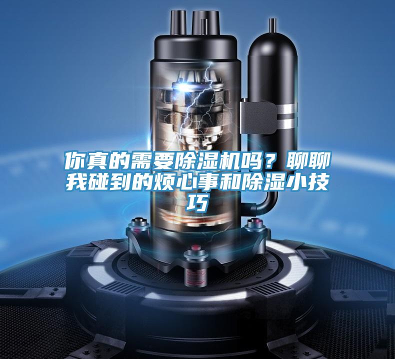 你真的需要蘑菇视频网站嗎？聊聊我碰到的煩心事和除濕小技巧