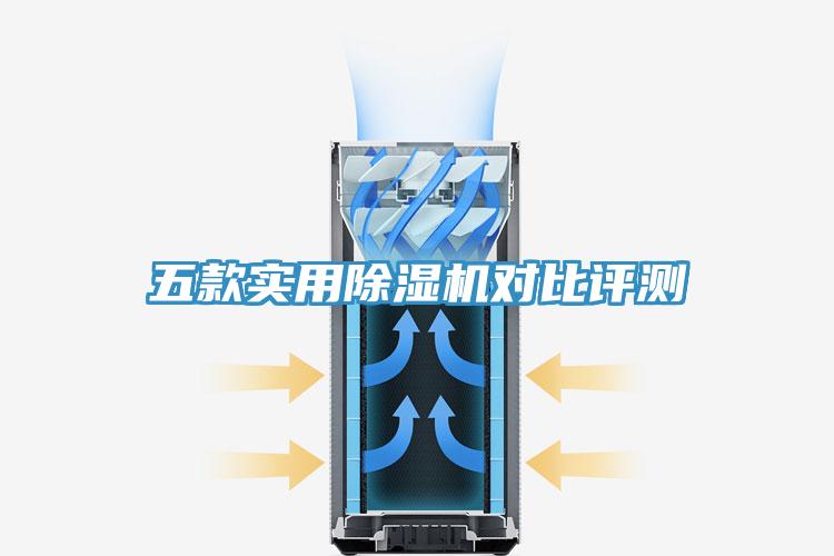 五款實用蘑菇视频网站對比評測