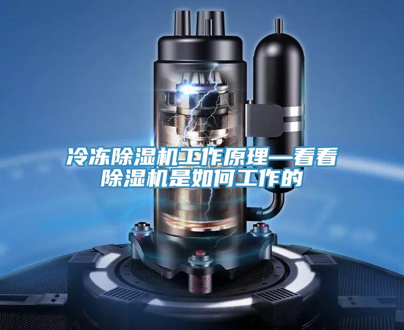 冷凍蘑菇视频网站工作原理—看看蘑菇视频网站是如何工作的