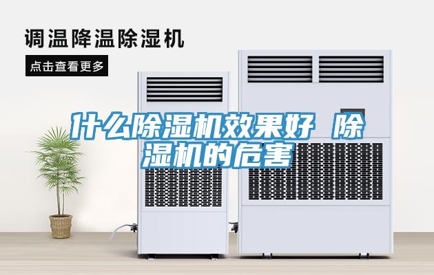 什麽蘑菇视频网站效果好 蘑菇视频网站的危害
