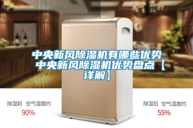 中央新風蘑菇视频网站有哪些優勢 中央新風蘑菇视频网站優勢盤點【詳解】