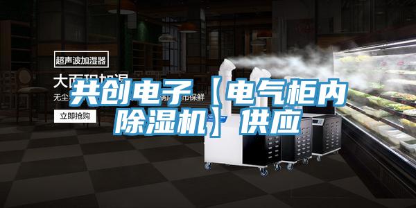 共創電子【電氣櫃內蘑菇视频网站】供應