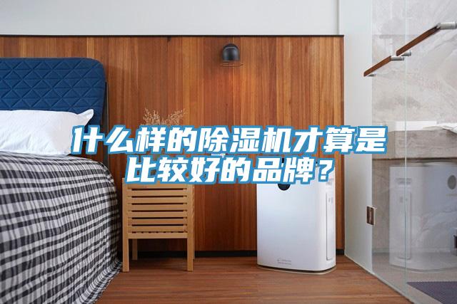 什麽樣的蘑菇视频网站才算是比較好的品牌？