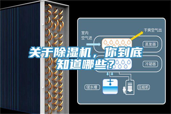 關於蘑菇视频网站，你到底知道哪些？