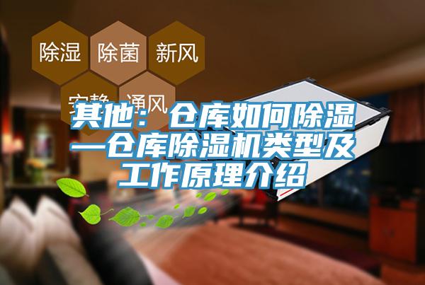 其他：倉庫如何除濕—倉庫蘑菇视频网站類型及工作原理介紹