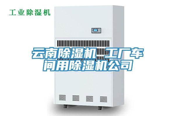 雲南蘑菇视频网站 工廠車間用蘑菇视频网站公司