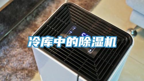 冷庫中的蘑菇视频网站