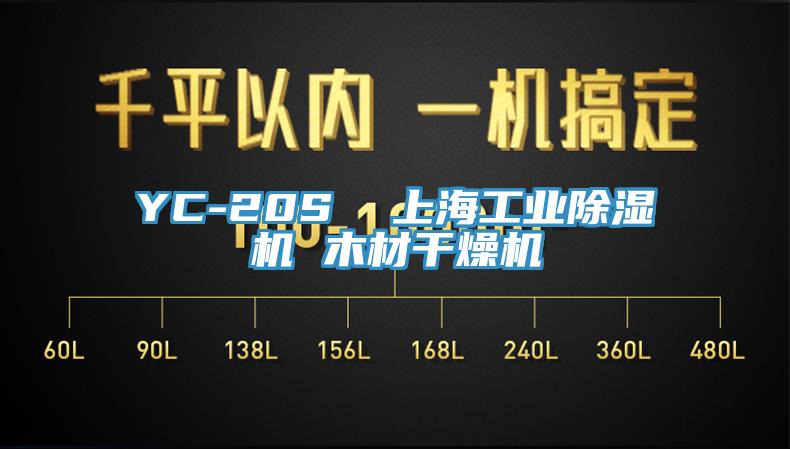 YC-20S  上海工業蘑菇视频网站 木材幹燥機
