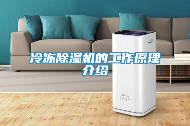 冷凍蘑菇视频网站的工作原理介紹