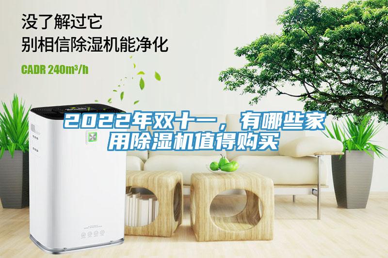 2022年雙十一，有哪些家用蘑菇视频网站值得購買