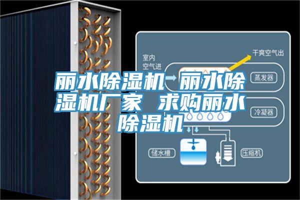 麗水蘑菇视频网站 麗水蘑菇视频网站廠家 求購麗水蘑菇视频网站