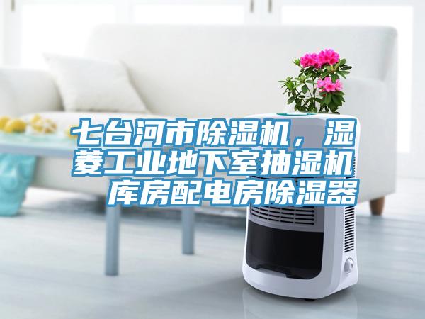 七台河市蘑菇视频网站，濕菱工業地下室抽濕機  庫房配電房除濕器