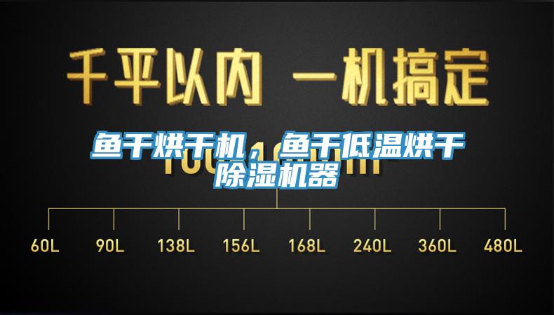 魚幹烘幹機，魚幹低溫烘幹蘑菇视频网站器