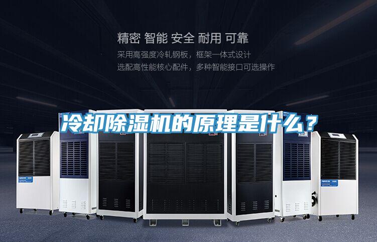 冷卻蘑菇视频网站的原理是什麽？