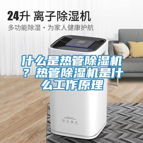 什麽是熱管蘑菇视频网站？熱管蘑菇视频网站是什麽工作原理