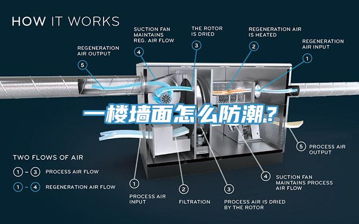 一樓牆麵怎麽防潮？