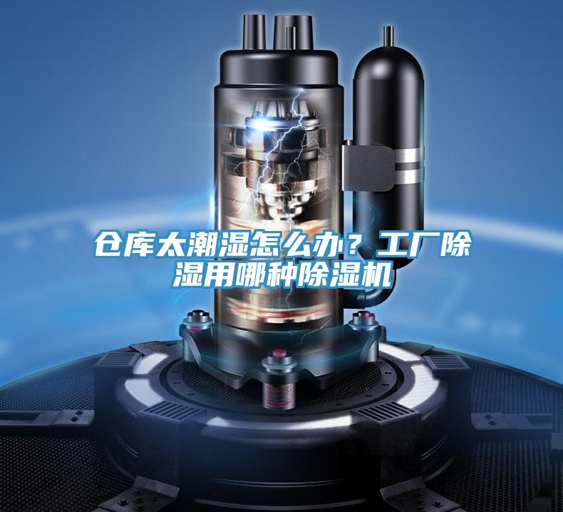 倉庫太潮濕怎麽辦？工廠除濕用哪種蘑菇视频网站