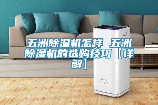 五洲蘑菇视频网站怎樣 五洲蘑菇视频网站的選購技巧【詳解】