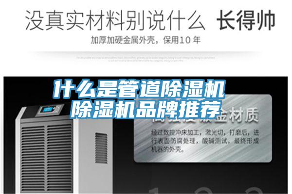 什麽是管道蘑菇视频网站 蘑菇视频网站品牌推薦