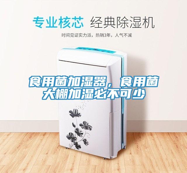 食用菌加濕器，食用菌大棚加濕必不可少
