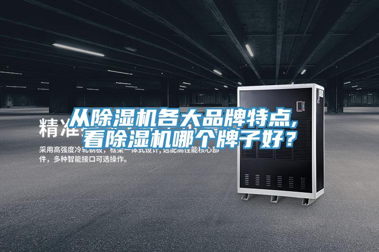 從蘑菇视频网站各大品牌特點, 看蘑菇视频网站哪個牌子好？