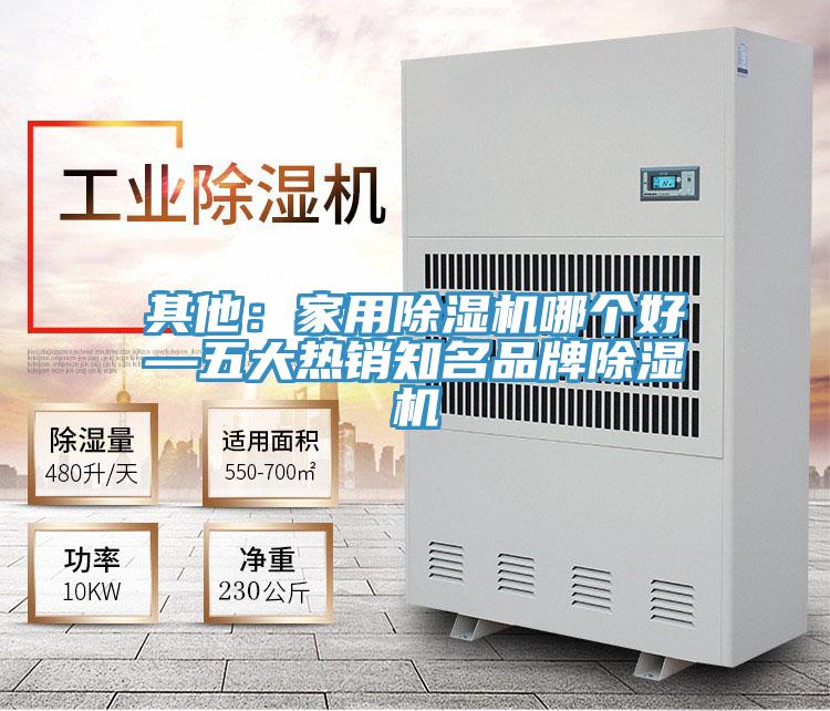 其他：家用蘑菇视频网站哪個好—五大熱銷知名品牌蘑菇视频网站