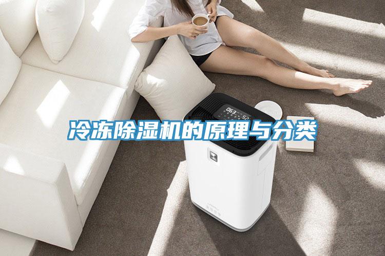 冷凍蘑菇视频网站的原理與分類